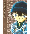 Detective Conan Nº 43