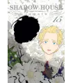 Shadow House Nº 15