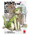 Nyaight of the Living Cat Nº 04