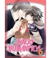 Junjo Romantica Nº 06